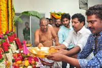 Chuttalabbayi Movie Opening